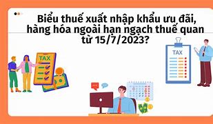 Khi Nào Áp Dụng Biểu Thuế Nhập Khẩu Ưu Đãi