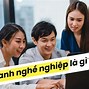 Vị Trí Chức Danh Nghề Nghiệp Chuyên Ngành Là Gì